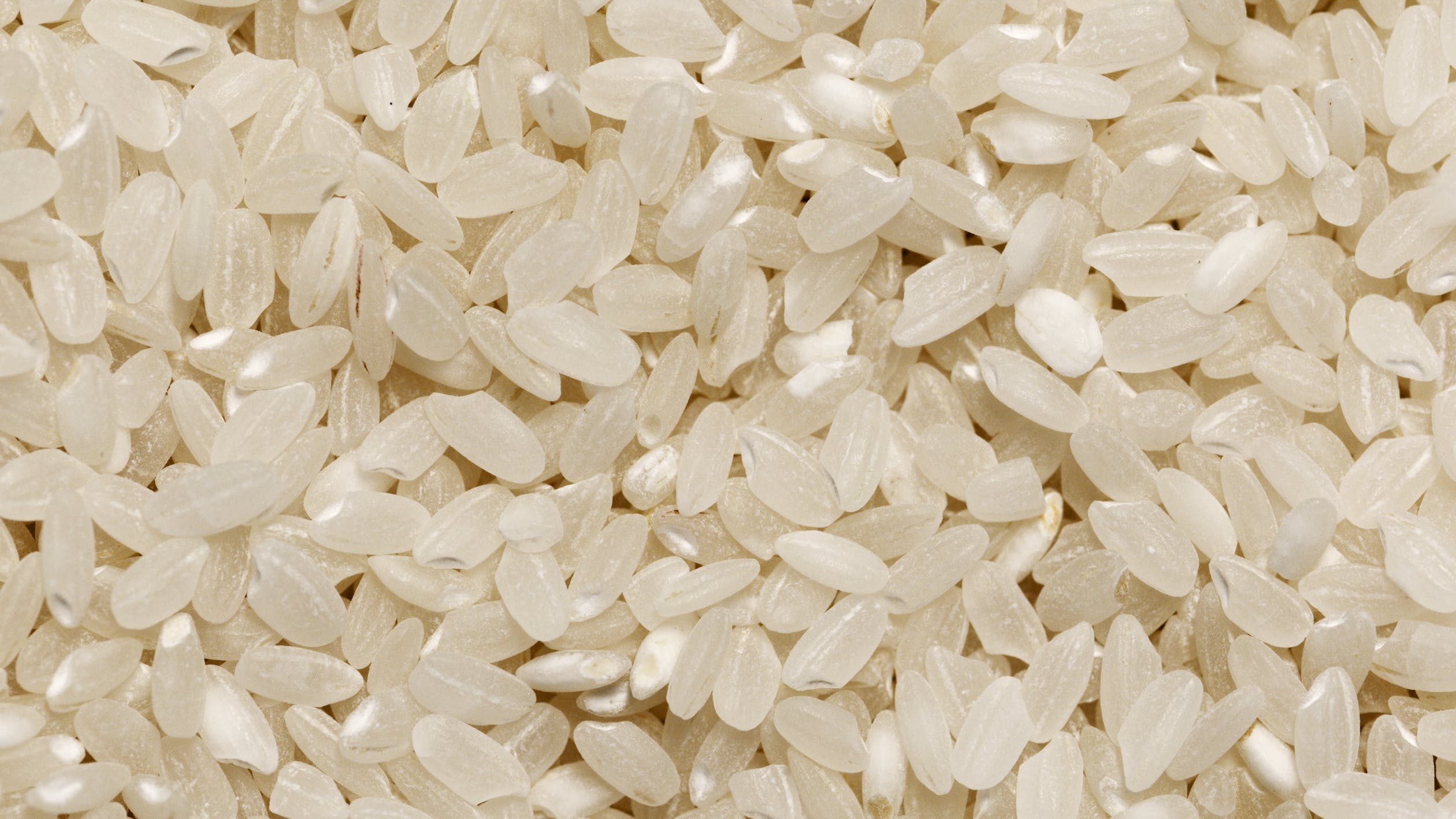 Fedearroz exportara arroz cultivado por mujeres colombianas