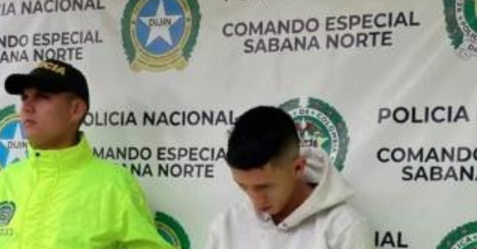 Nuevo proyecto 11