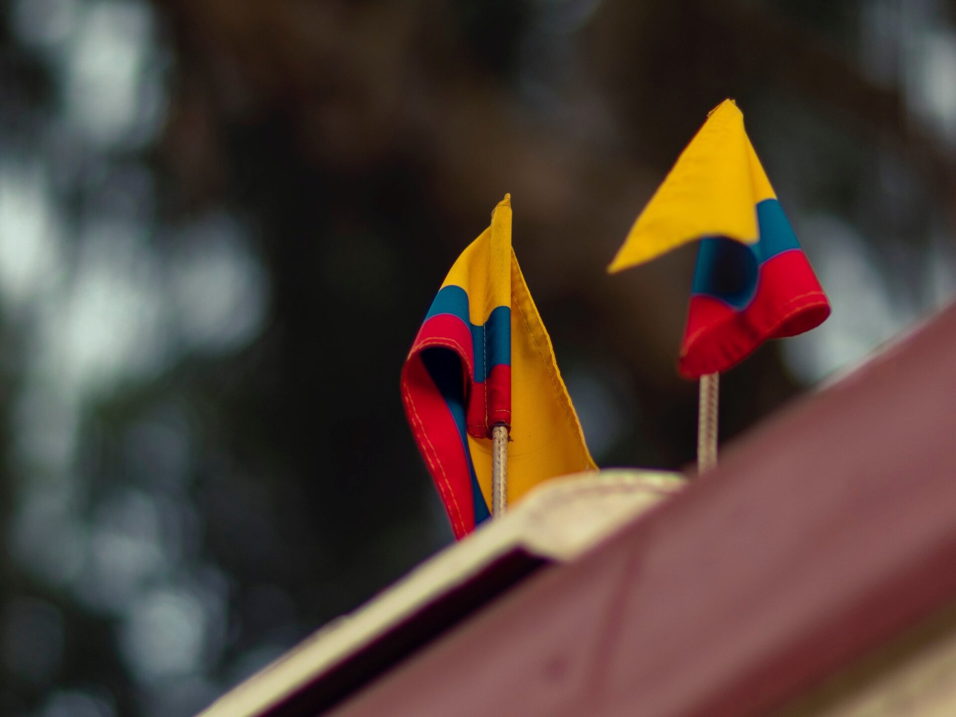 camila quintero franco Bdeu N9uTvU unsplash