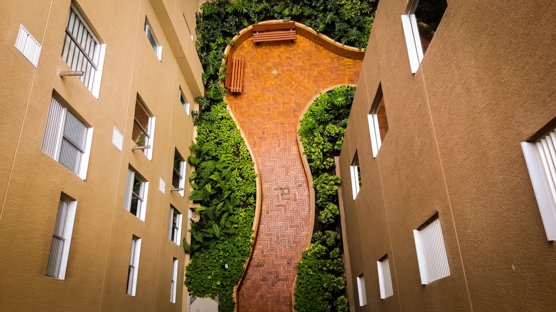 camilo montes dEUAtFNIHbU unsplash