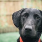 dan burton 4d0zsEI8sWA unsplash