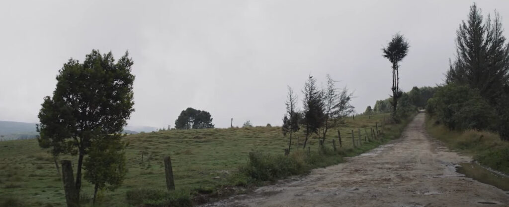 image 2022 05 12 10 18 42