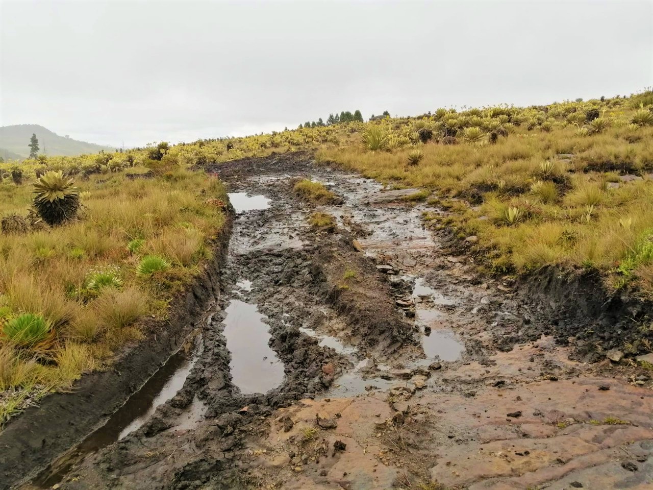 Freno a competencias de rally en el Paramo de Rabanal Boyaca