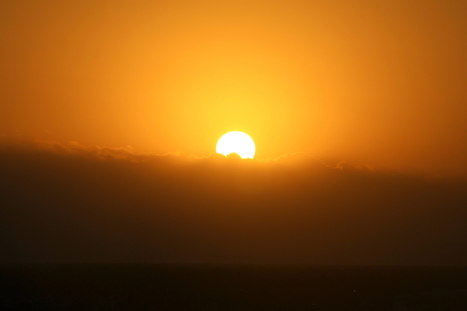 Inesperada ola de calor en Europa la amenaza del cambio climatico