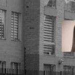 Nuevo proyecto 46