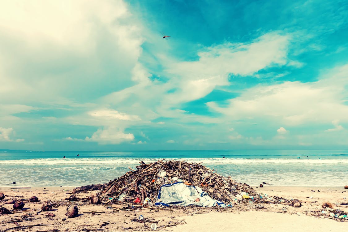 Ocho paises de America Latina combatiran la basura marina y la contaminacion por plasticos