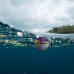 Ocho paises de America Latina combatiran la basura marina y la contaminacion por plasticos1
