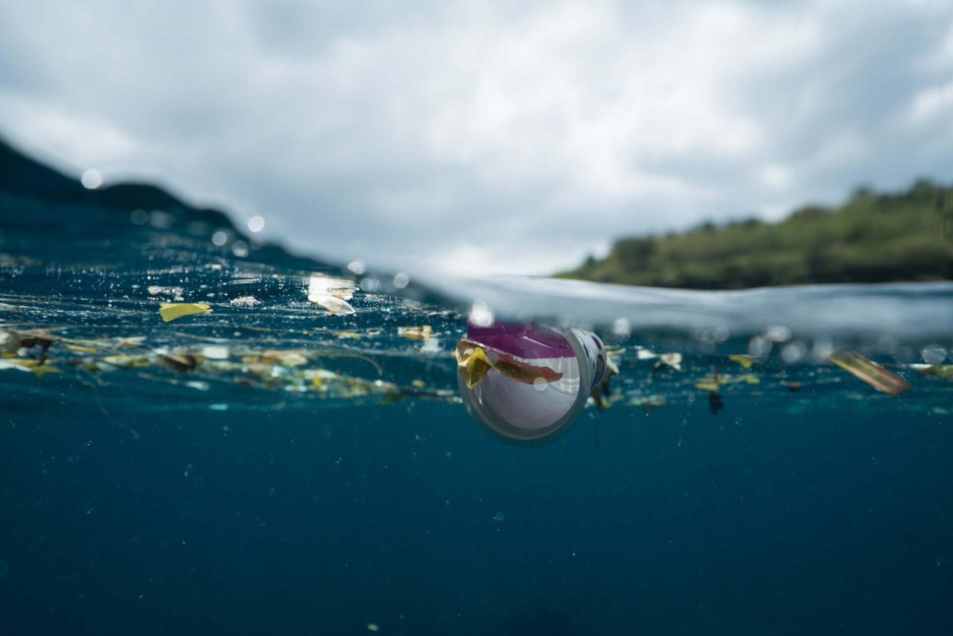 Ocho paises de America Latina combatiran la basura marina y la contaminacion por plasticos1