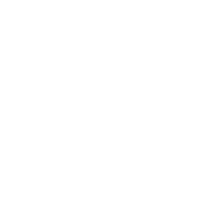 perro