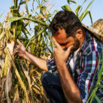 Megasequias precipitaciones extremas deshielo y deforestacion 1