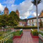 NEMOCON PARQUE NAVIDAD