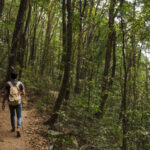 hiker with backpack walking in the forest