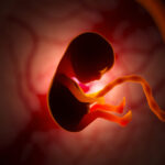 Lo que nadie te ha contado del aborto