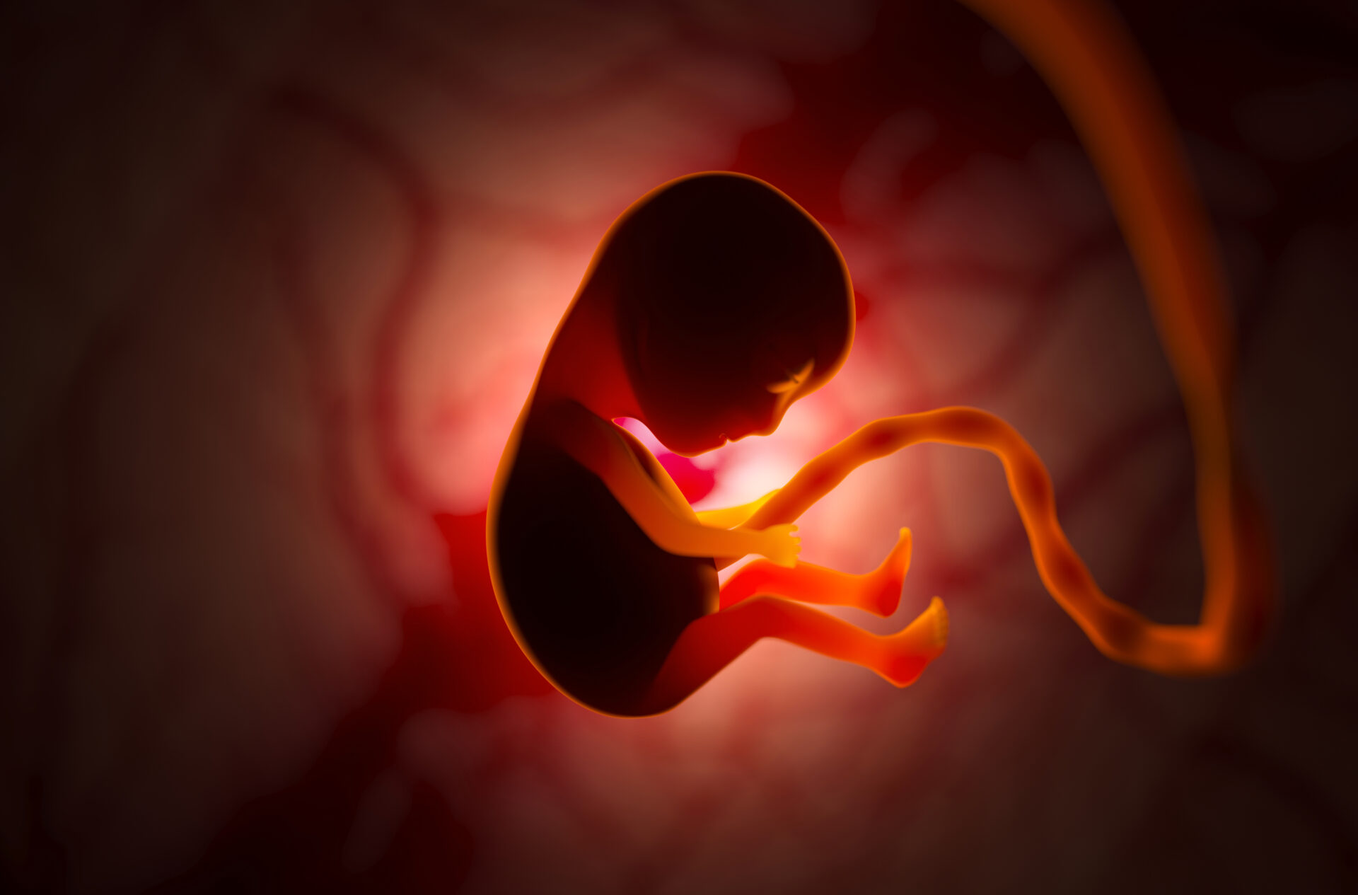 Lo que nadie te ha contado del aborto