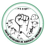 Nuevo proyecto 3
