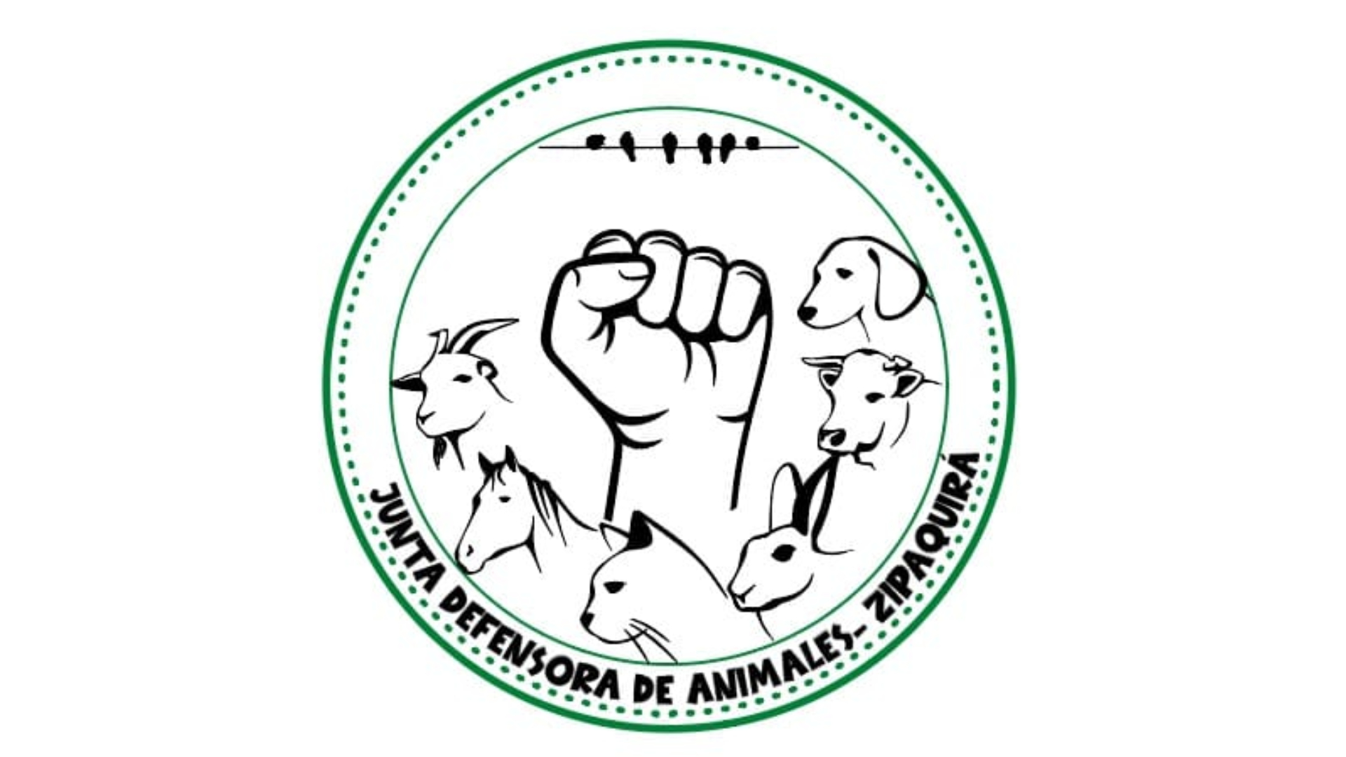 Nuevo proyecto 3