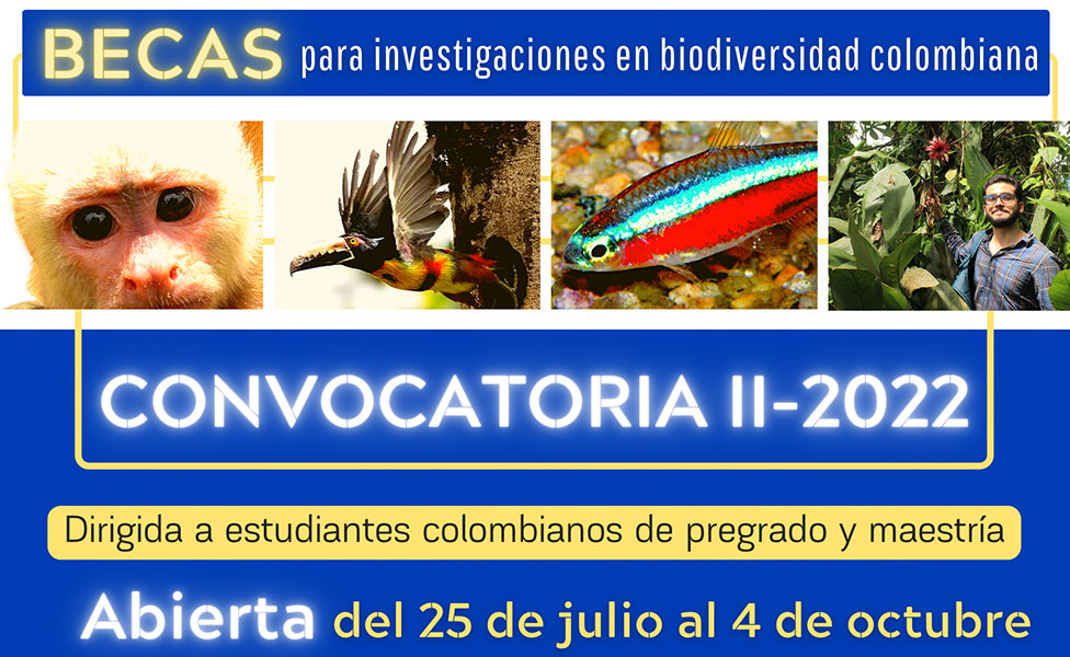 banner becas 2022 II v2