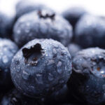 blueberries 2021 08 26 22 36 05 utc