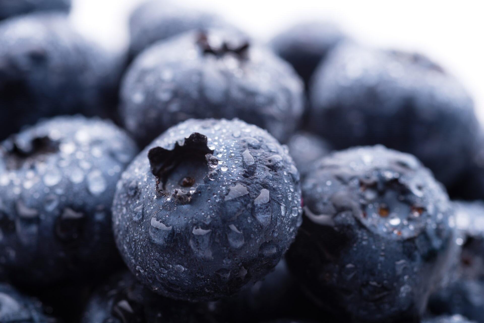 blueberries 2021 08 26 22 36 05 utc