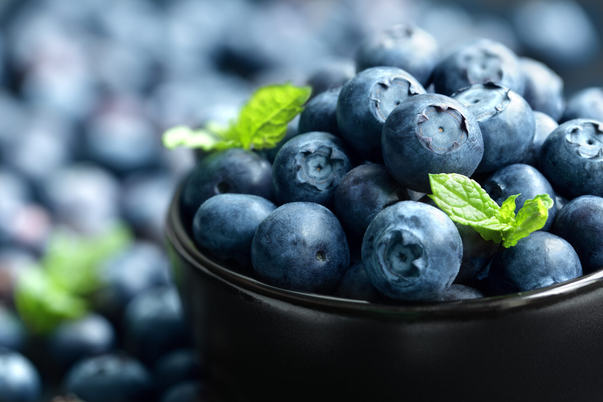 blueberry 2021 08 26 22 30 01 utc