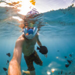 snorkeling near a tropical island young man swims 2021 08 29 12 27 04 utc