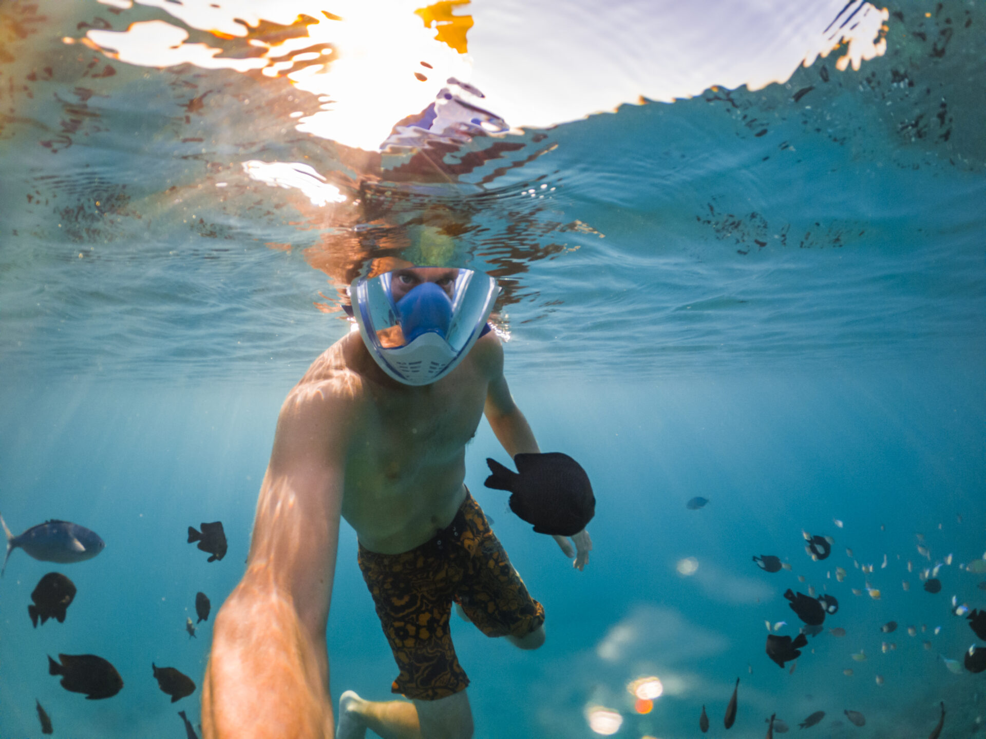 snorkeling near a tropical island young man swims 2021 08 29 12 27 04 utc