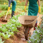 working on plantation 2021 08 27 09 42 30 utc