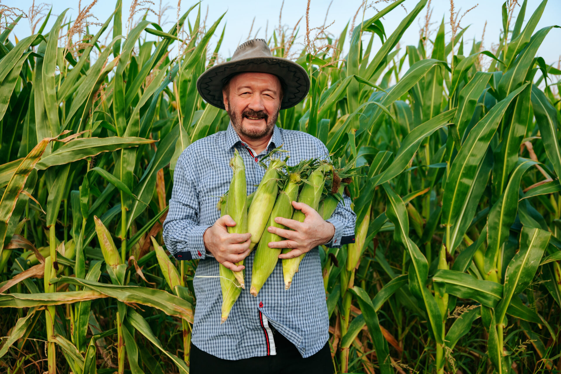 America Latina una potencia agricola que ve aumentar el hambr1
