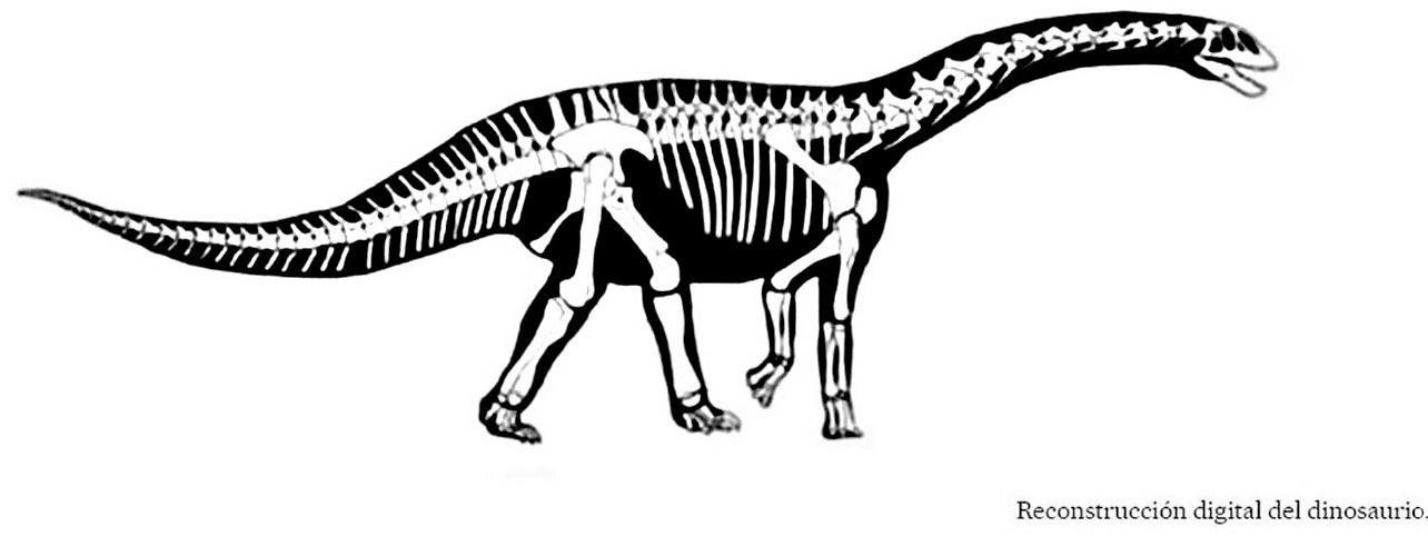 El Acuerdo de Paz de Colombia en el origen de una nueva especie de dinosaurio3.
