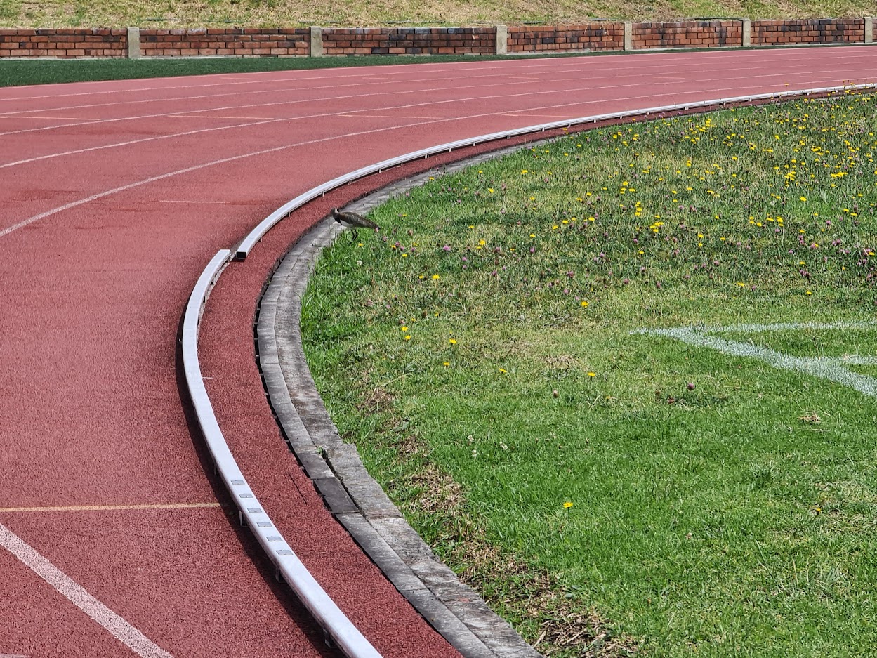 No habra servicio en el Estadio Municipal de Zipaquira1