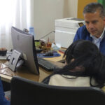 Nuevo proyecto 3 1