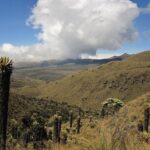 landscape 1136656