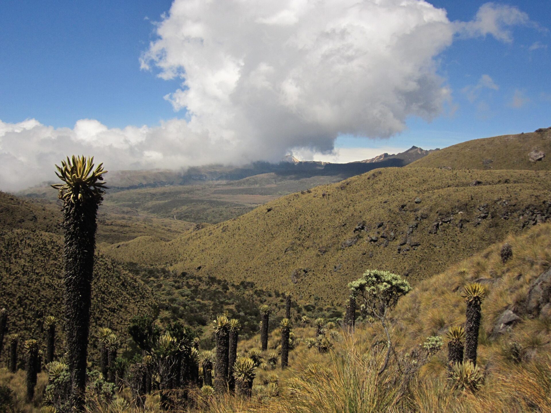 landscape 1136656