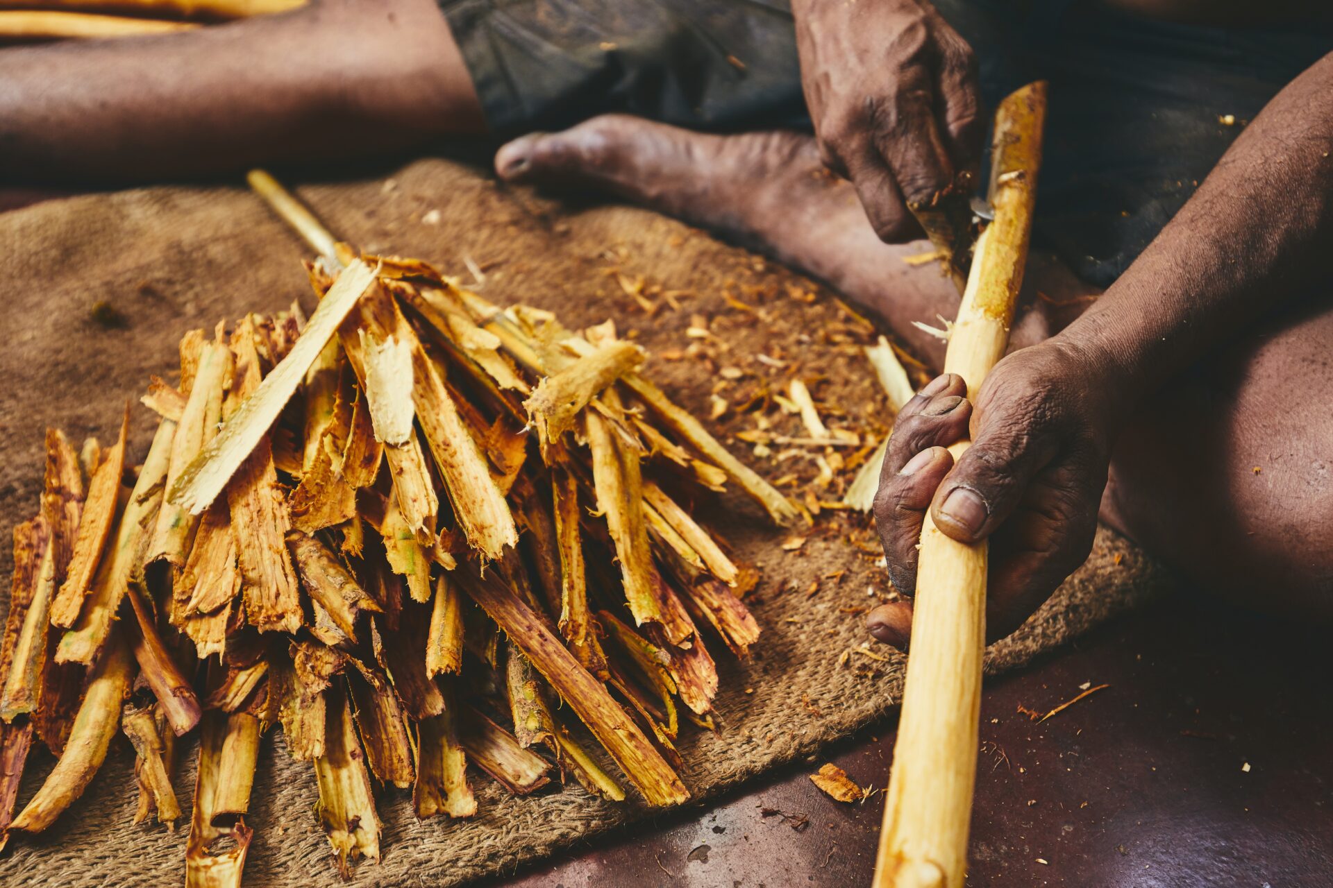 production of the cinnamon sticks 2021 08 26 22 38 59 utc