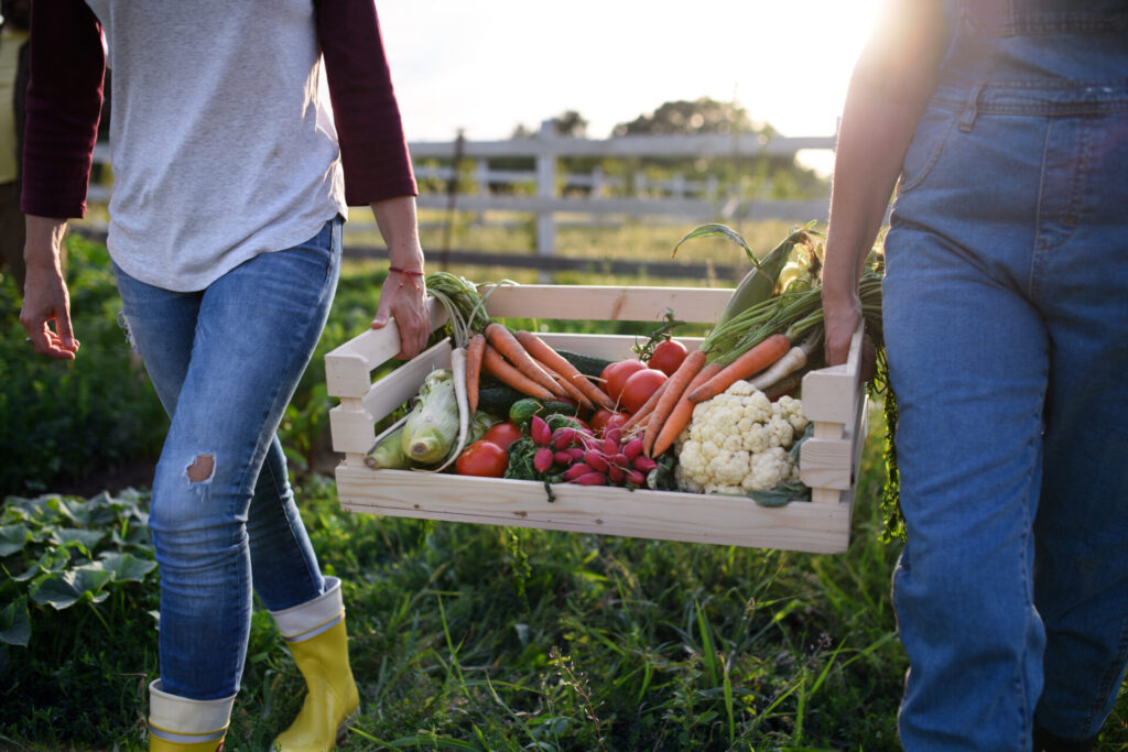 unrecognizable female farmers carrying crate with 2022 01 18 23 50 51 utc
