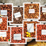 El laboratorio de papas nativas