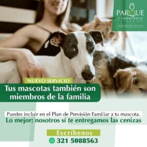 Imagen2