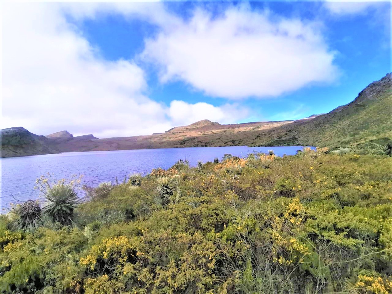 PGN pidio proteger la reserva del paramo de Guargua y Laguna Verde en Cundinamarca