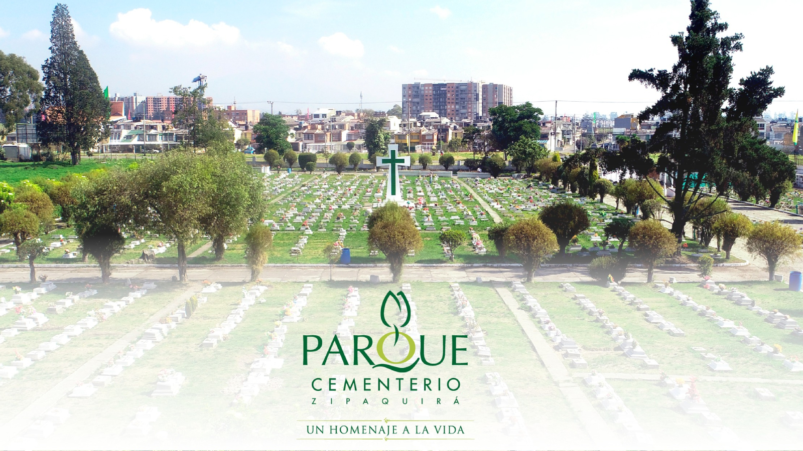 Proyecto nuevo 22