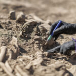 archaeology exhumation of an ancient human skele 2021 08 27 11 04 45 utc