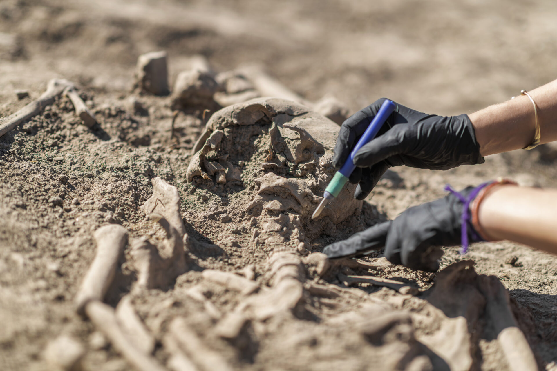 archaeology exhumation of an ancient human skele 2021 08 27 11 04 45 utc