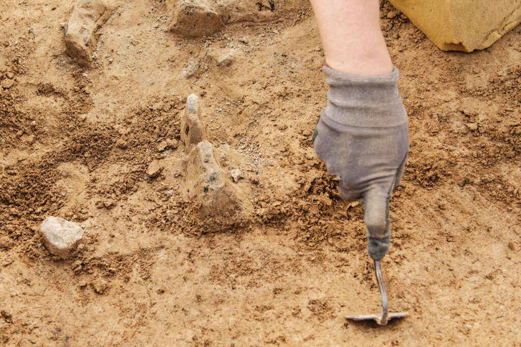 archeological tools archeologist working on site 2021 08 30 13 27 19 utc