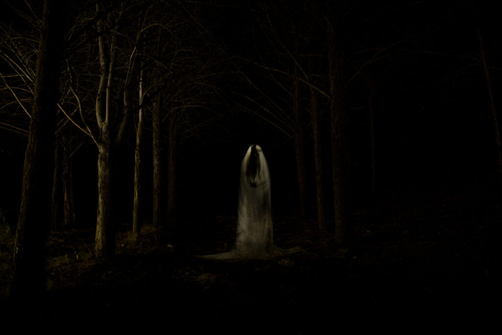 ghost in the dark forest 2022 10 10 19 29 35 utc