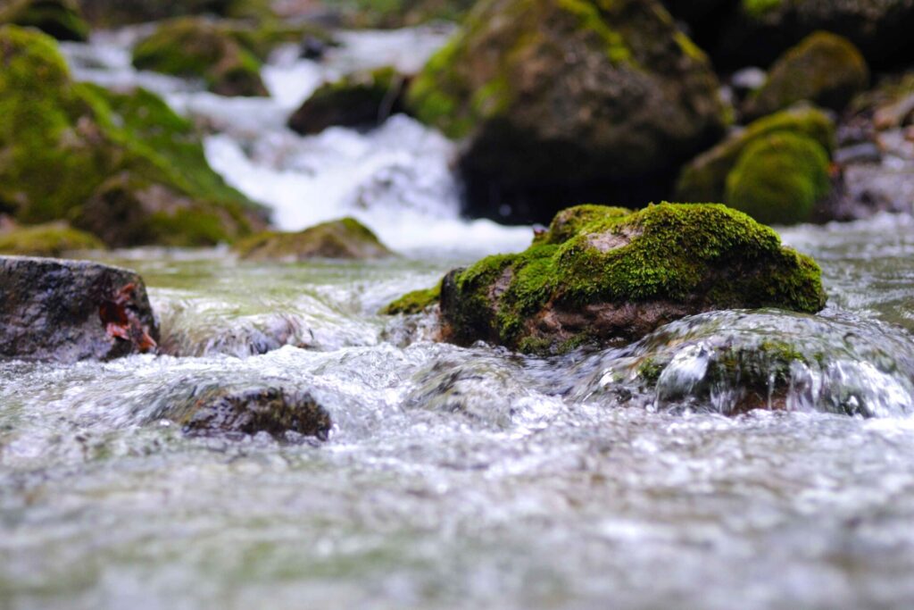 stream with waterfall and mossy stones around 2022 01 20 19 13 19 utc 2