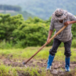 Corte protege derechos de campesino que fue detenido por resguardo indigena