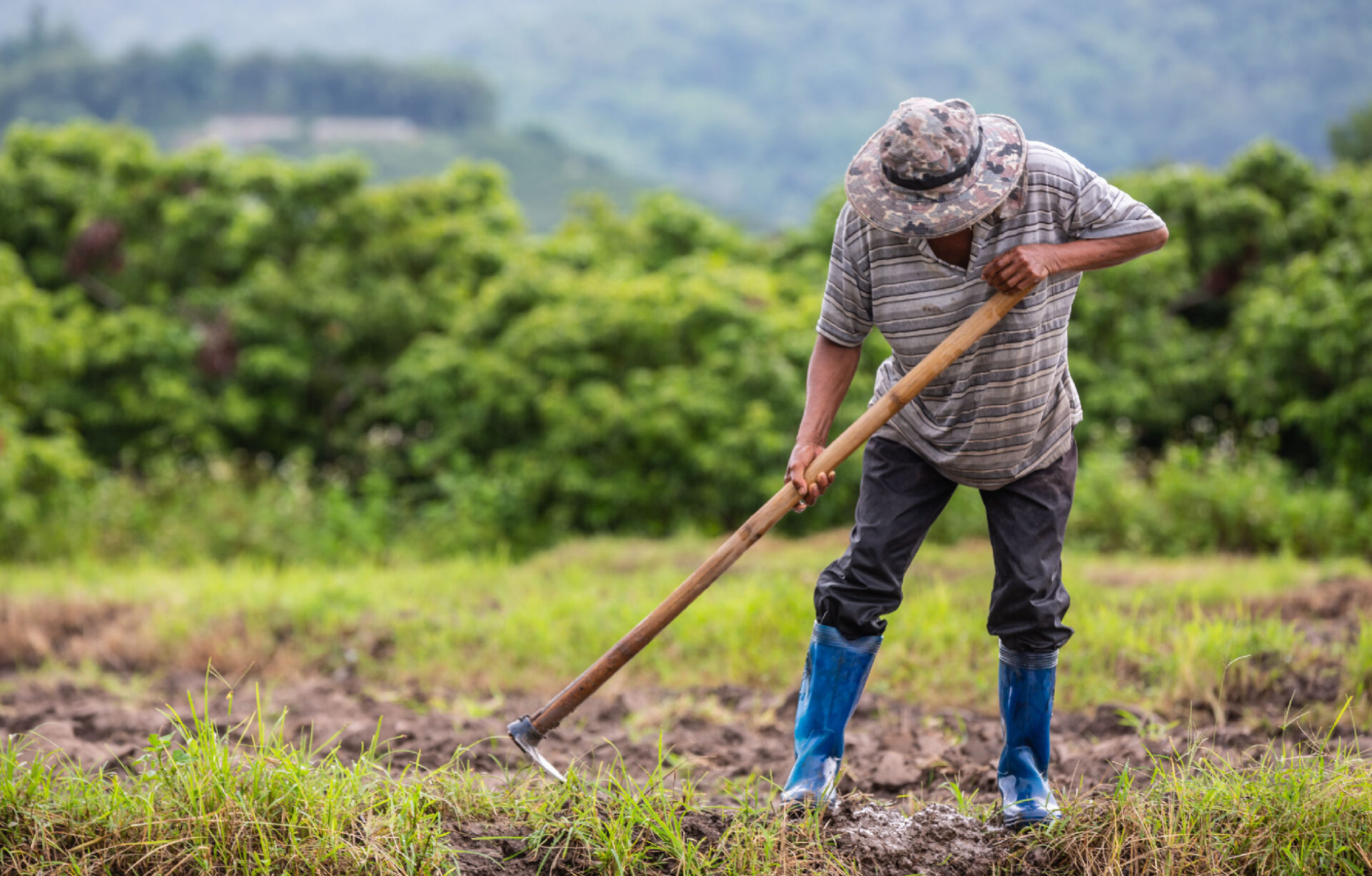 Corte protege derechos de campesino que fue detenido por resguardo indigena