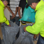 Proyecto nuevo 11