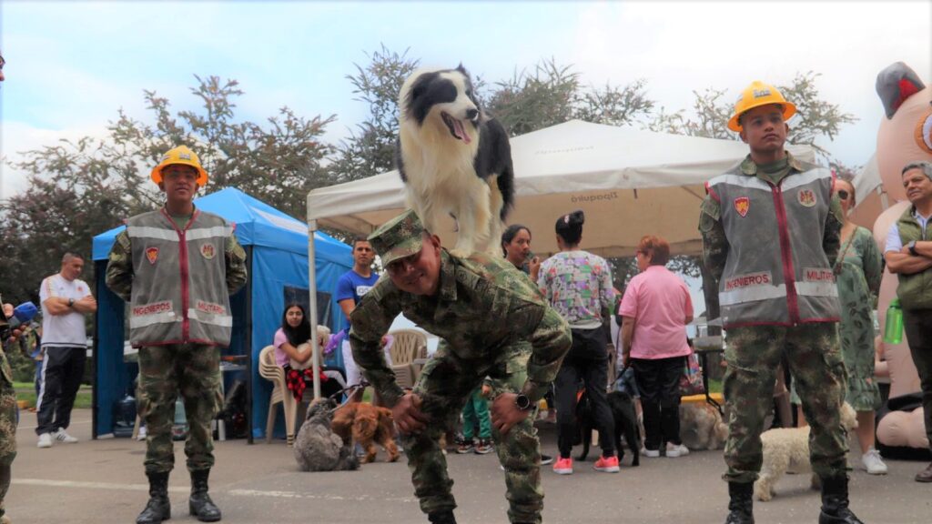 feria canina d