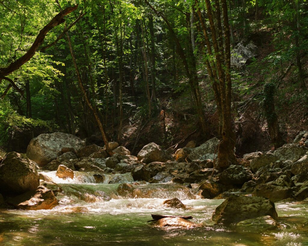 mountain river green forest summer beautiful cool 2022 01 23 17 45 58 utc