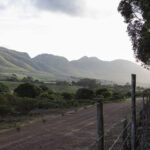 nature reserve and walking trail 2022 03 04 02 45 51 utc